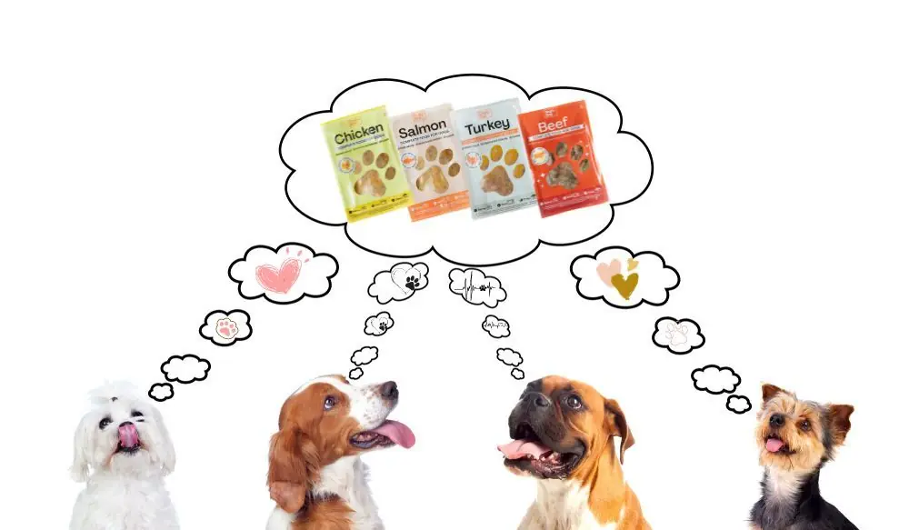 la mejor comida para perros