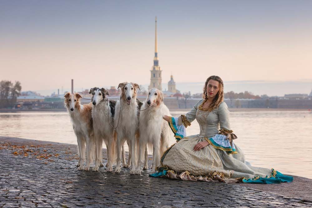 Borzoi curiosidades