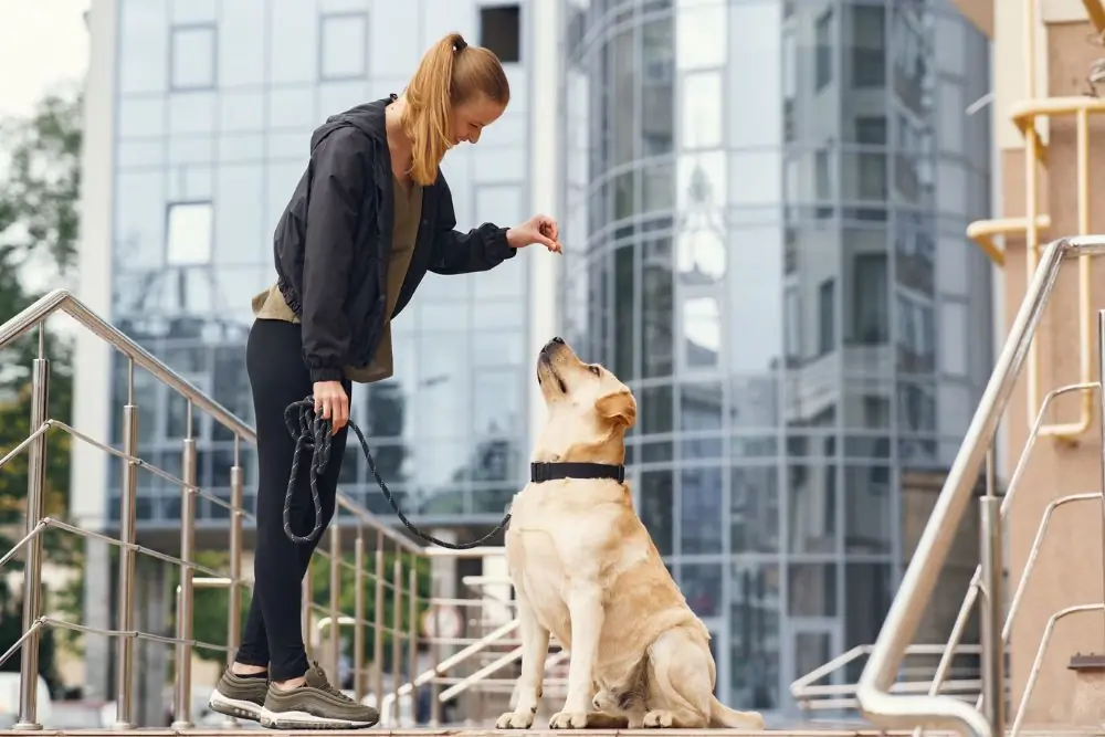 Habitos y practicas de cuidado preventivo