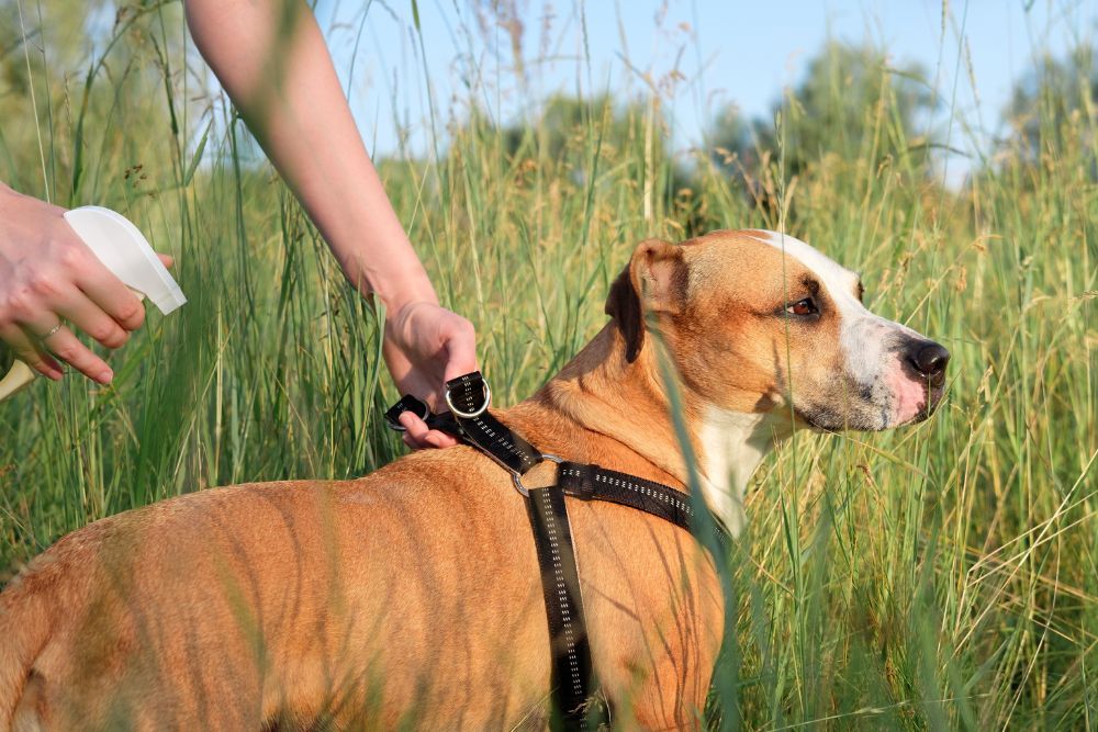 Prevencion y Control