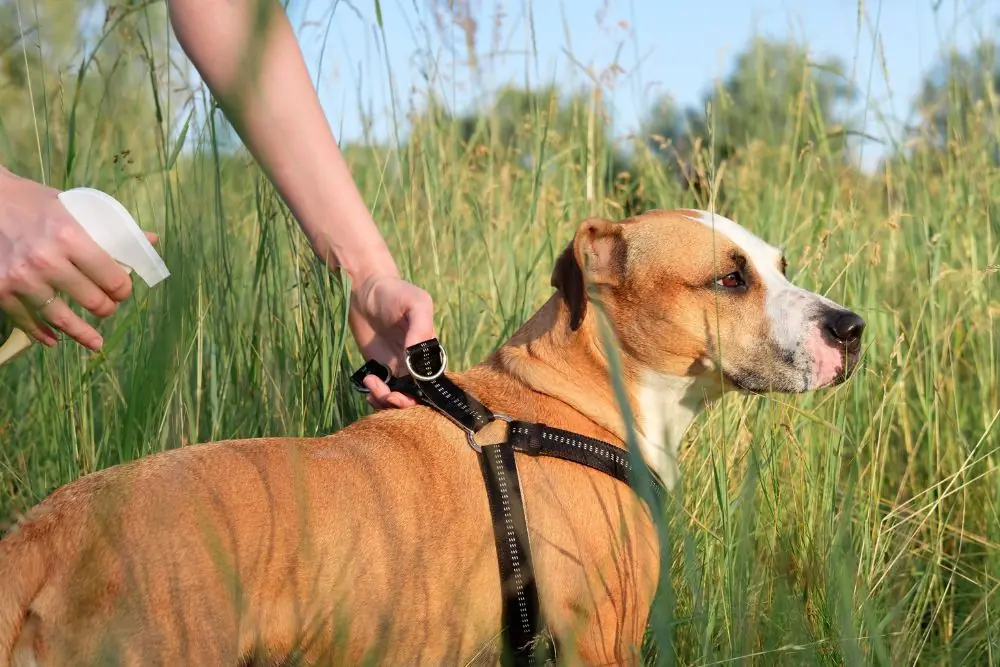 Prevencion y Control