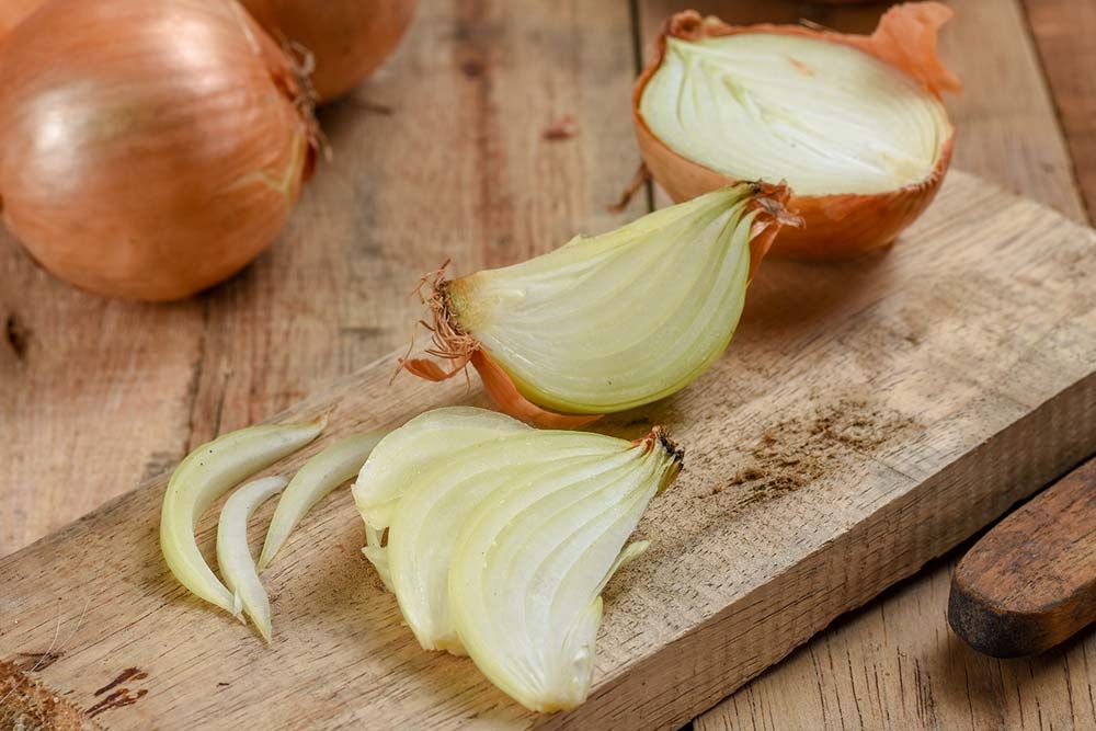 alimentos perro prohibidos cebollal