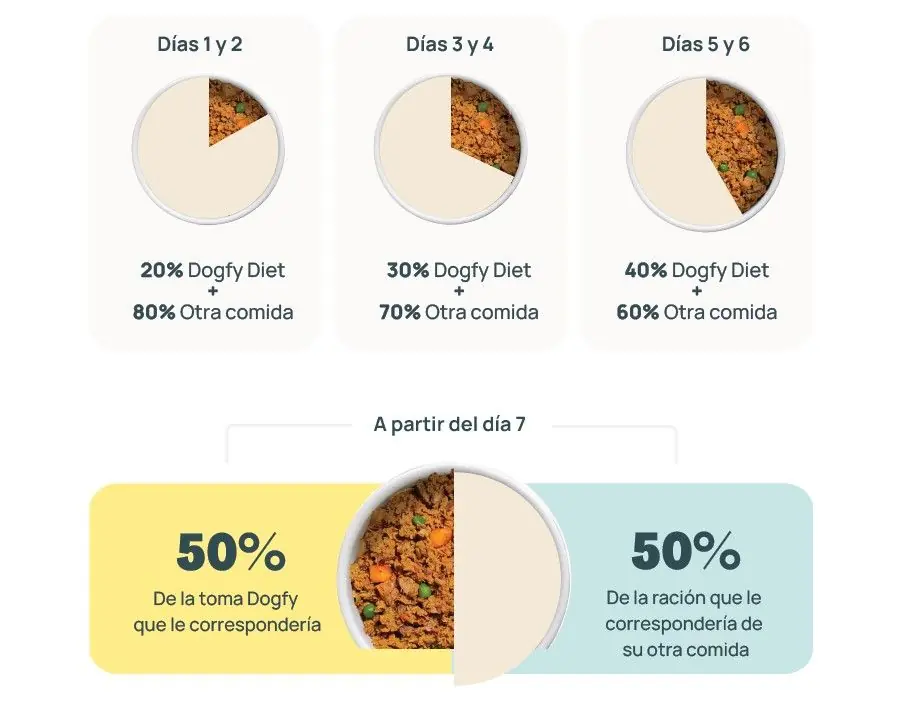 infografia adaptacion dieta mixta perro