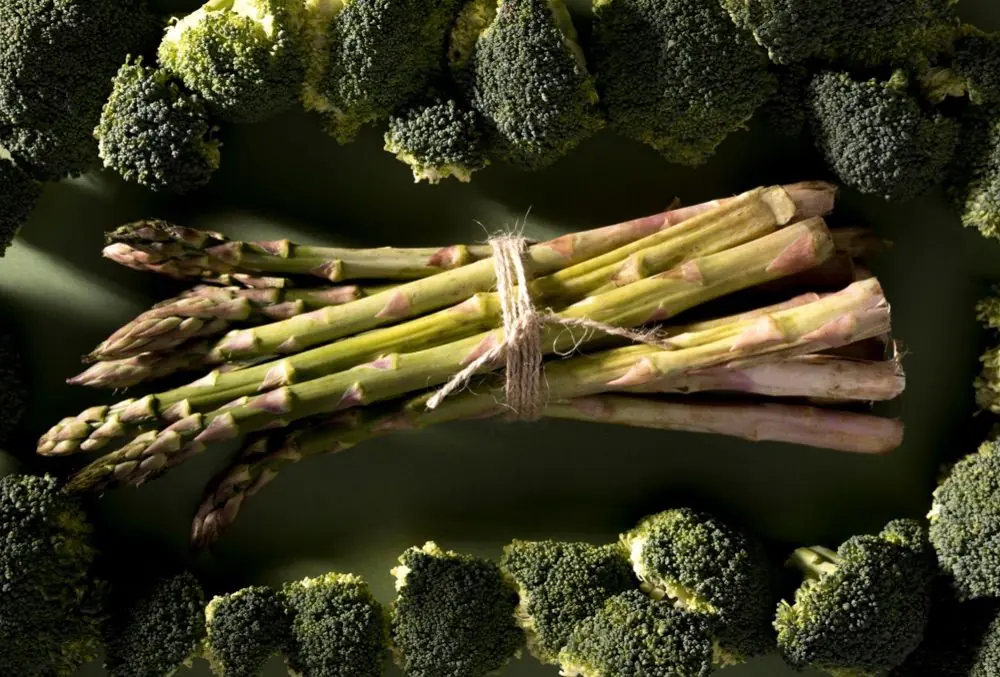 Brocoli y esparragos