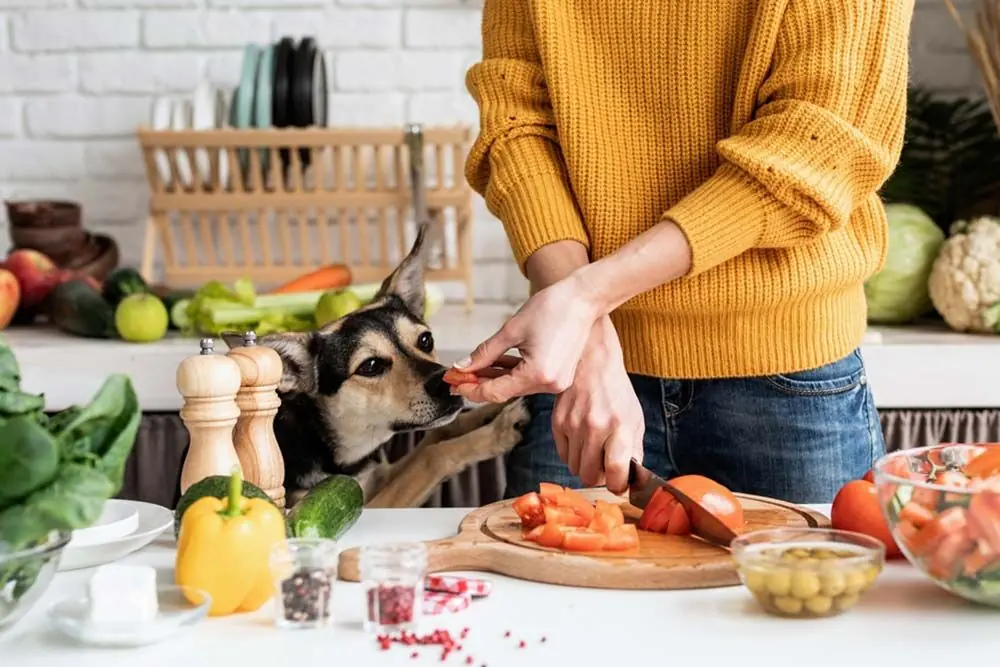 Comida natural cocinada