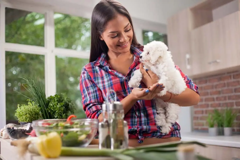 Comida natural cocinada
