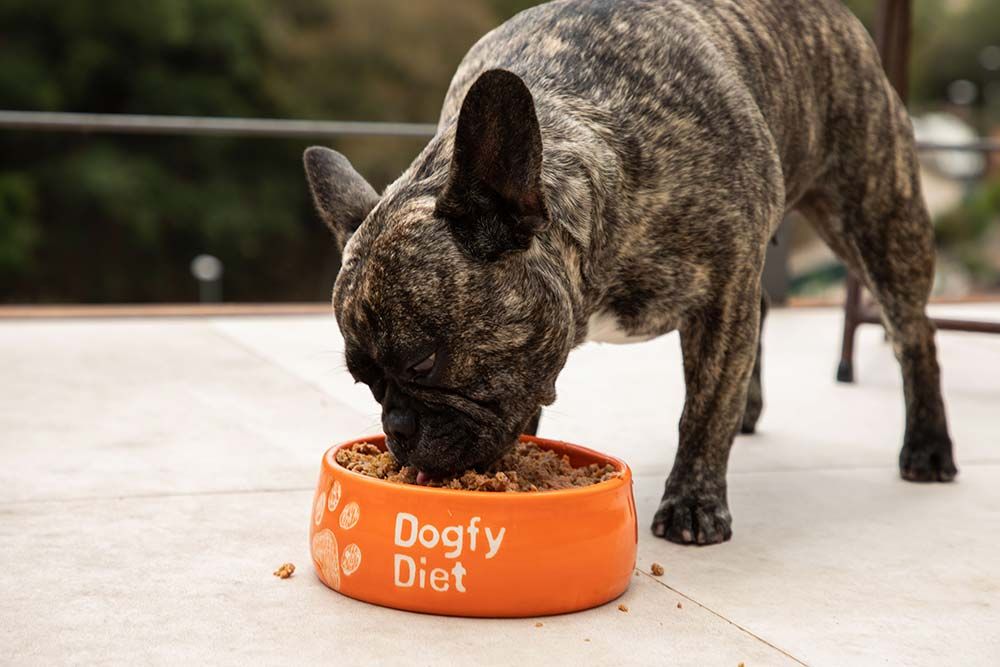 Comida natural cocinada