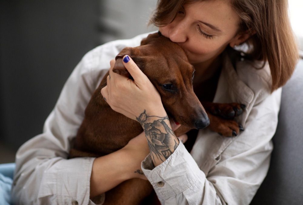 Terapia de feromonas para perros