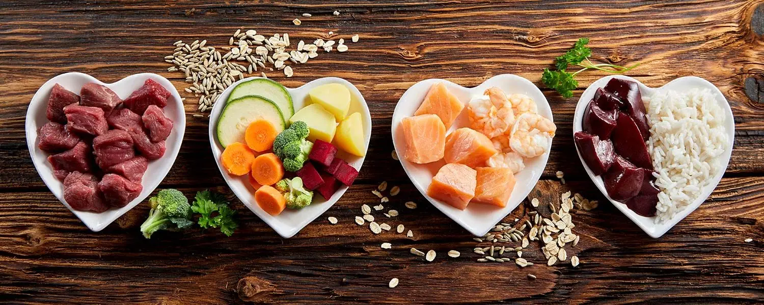 Guía de alimentación light para perros