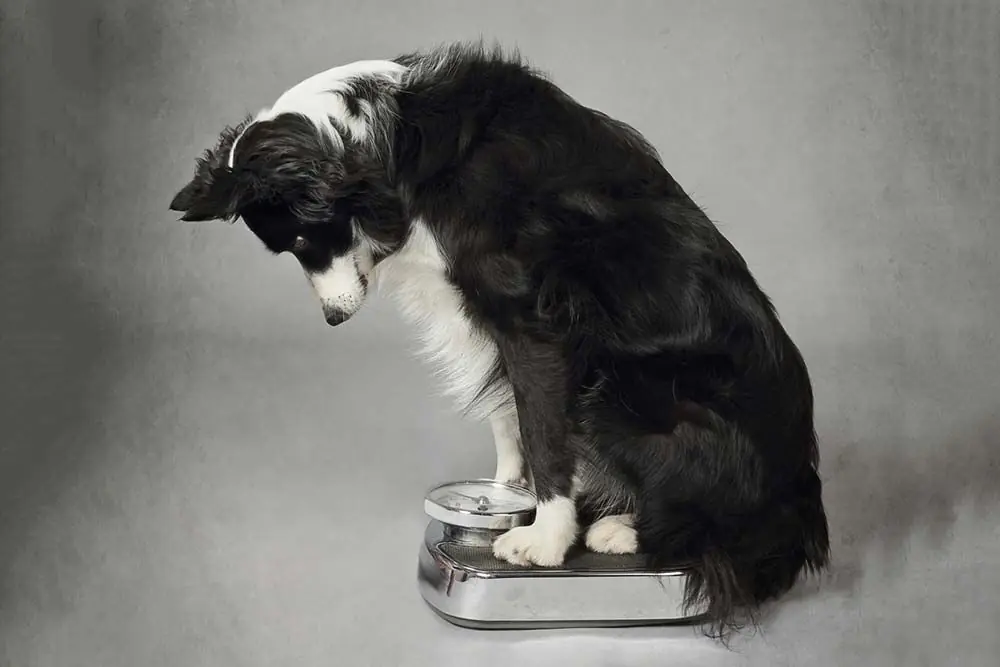 Peso ideal como medir