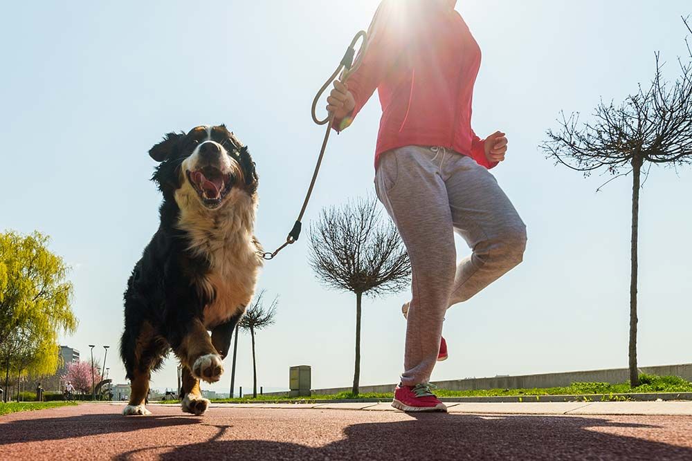 Peso ideal motivar ejercicio