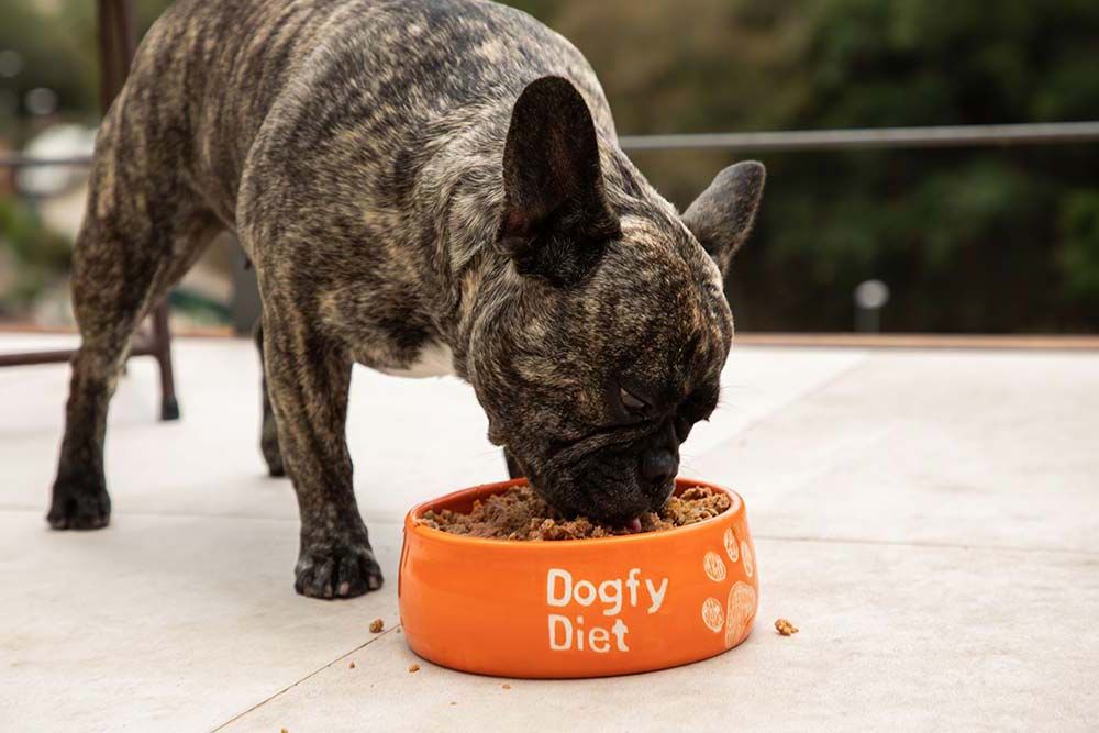 Piensos hipoalergenicos dieta natural