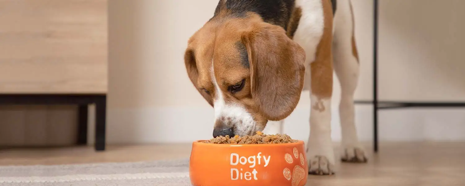 ¿Cómo hacer la transición a la comida natural?