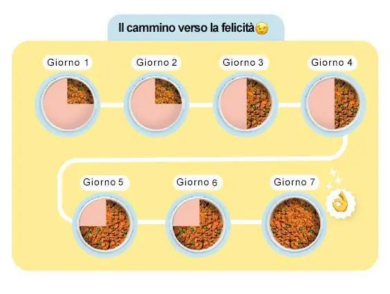 Transizione schema