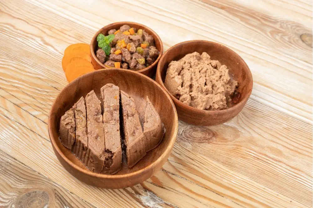 Alternativa a la comida húmeda para perros