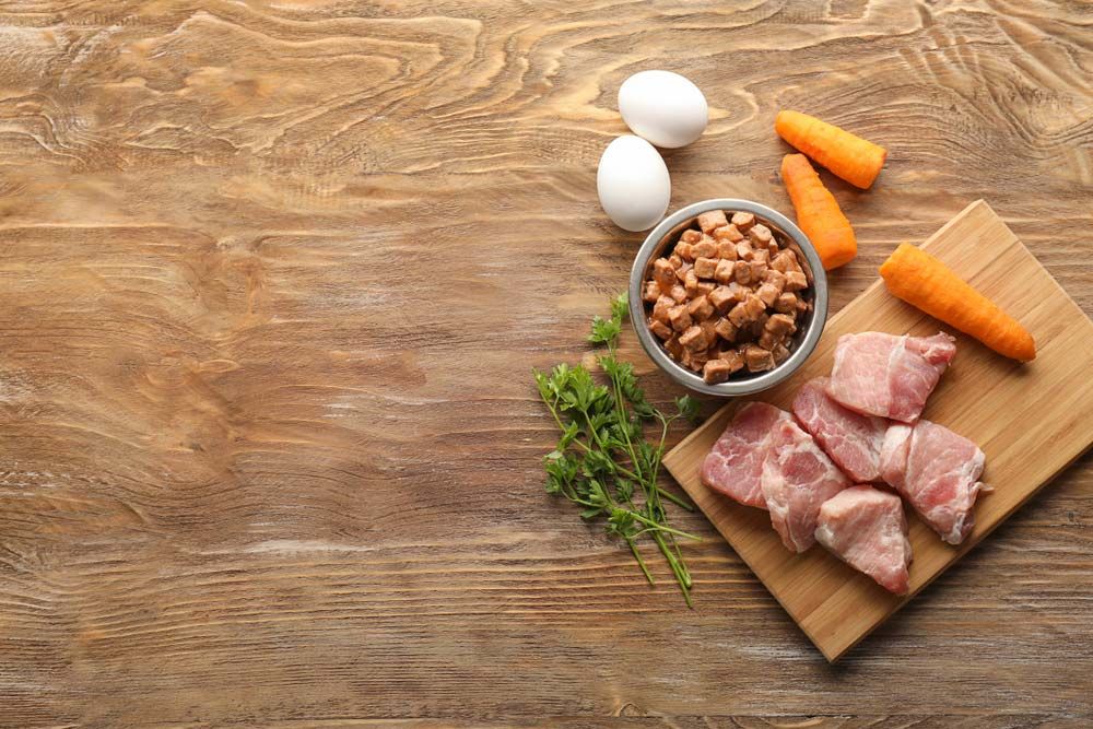 Alimentazione di cani con elevata attività fisica