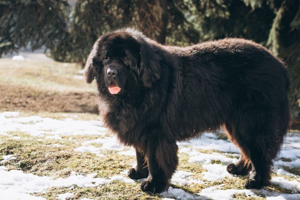 Cibo per ogni fase della vita