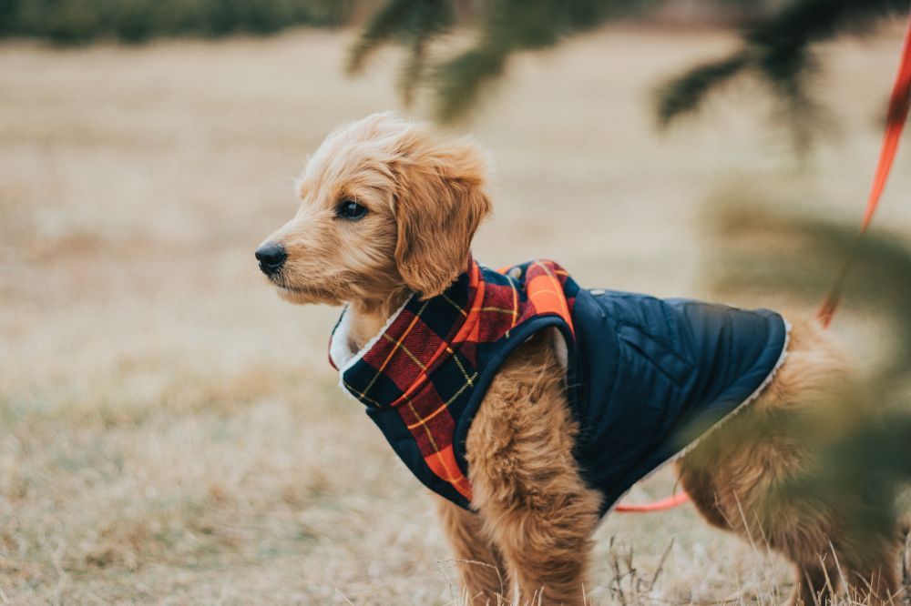 Energía equilibrada