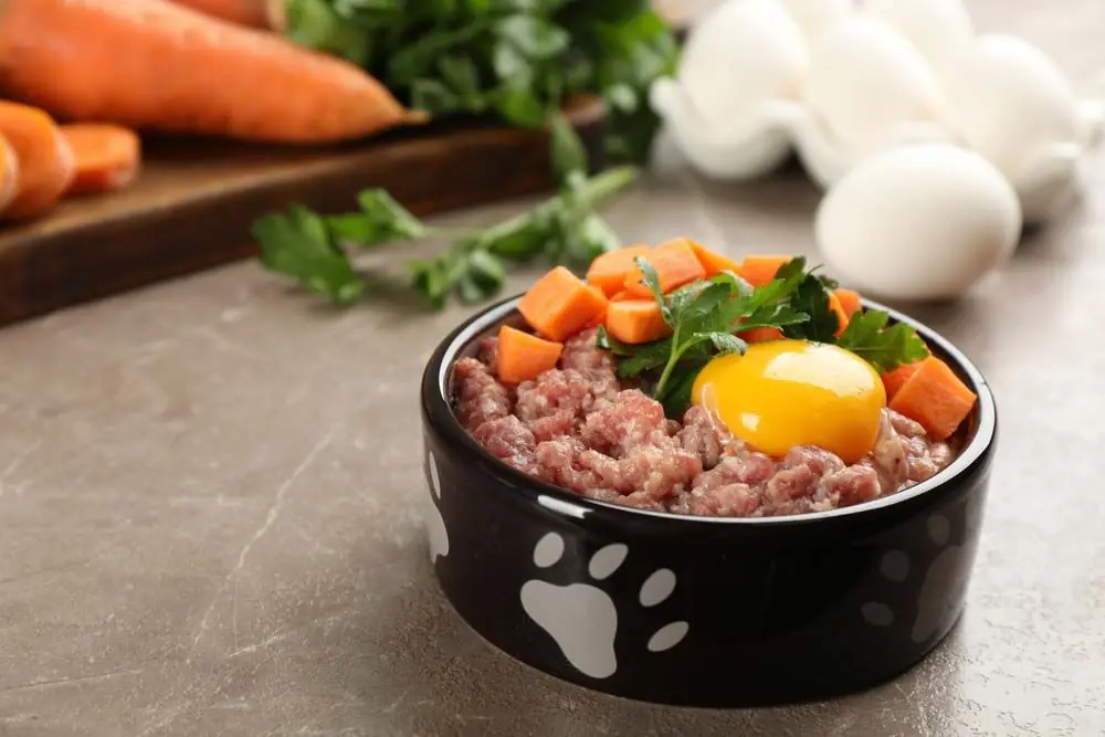 Vantaggi del chow chow cibo naturale