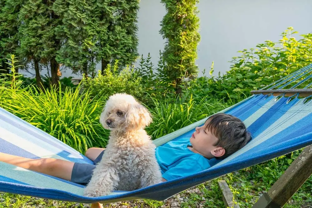 i bambini e il barboncino