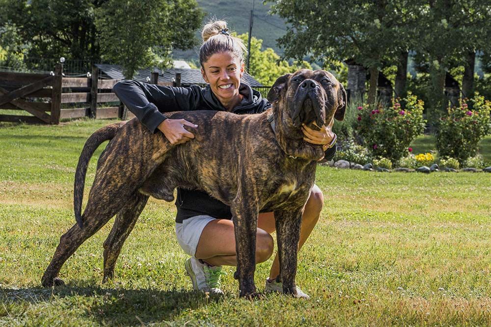 Carattere presa canario