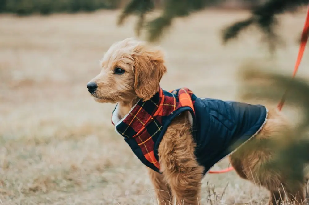 Equilibrato dal punto di vista energetico