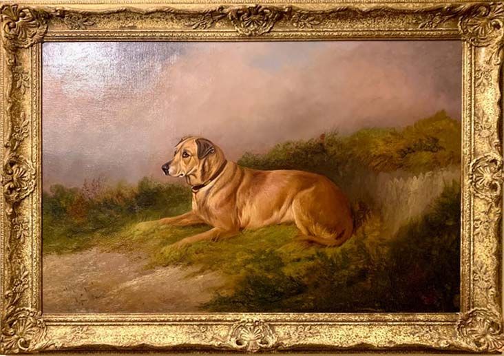 Labrador retriever historia