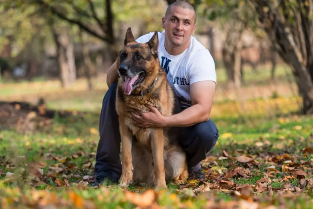 Pionieri come cani guida che tracciano il percorso per un lavoro nobile