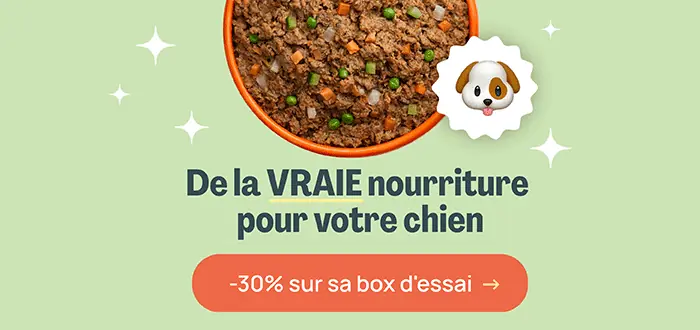 alimentation pour chien