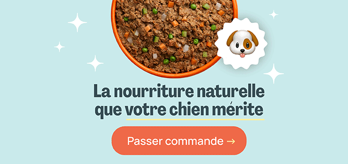 ration menagere pour chien