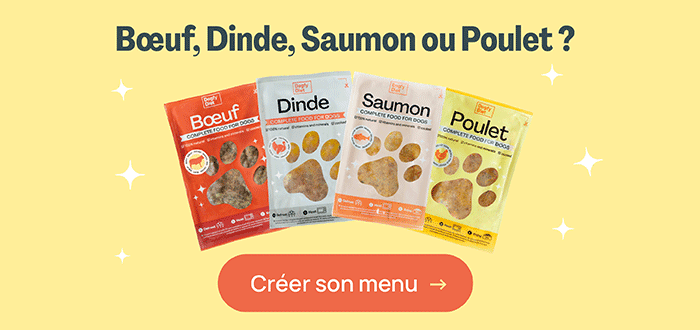 repas naturels pour chien