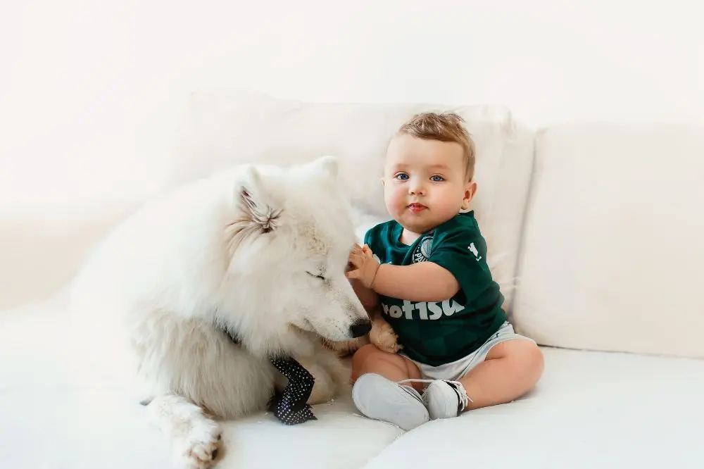 Cómo preparar a tu perro para la llegada de un bebé