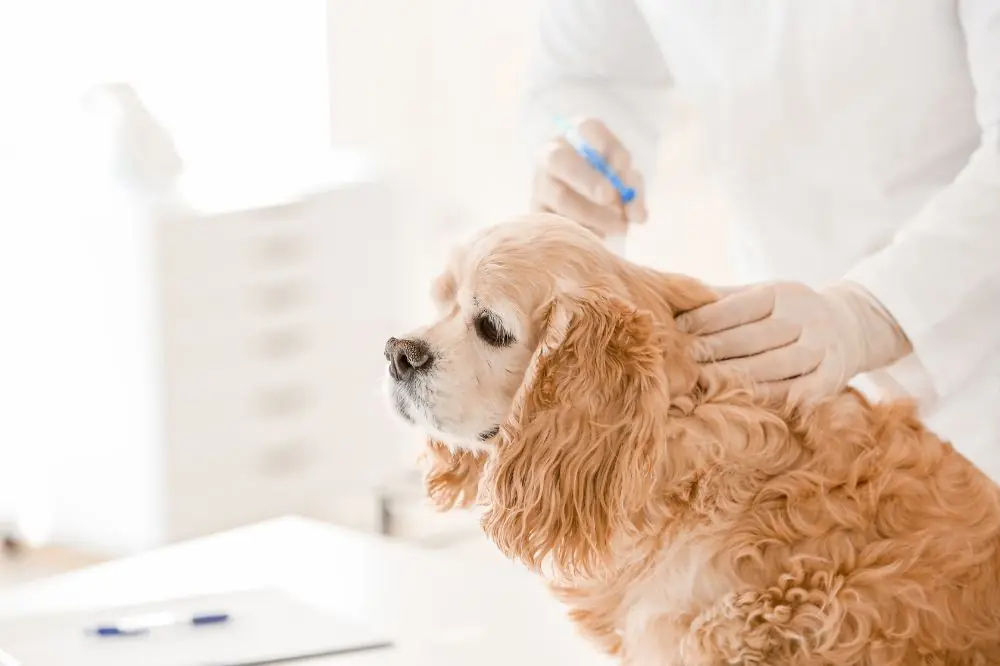 xr:d:DAGBWUKTnjw:,j:,t: