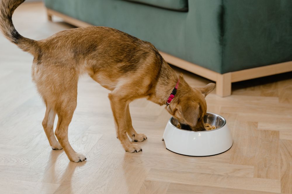 Agua fresca y limpia