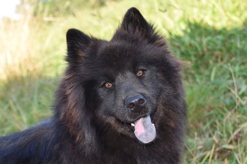 xr:d:DAGBV tDBZk:,j:,t: