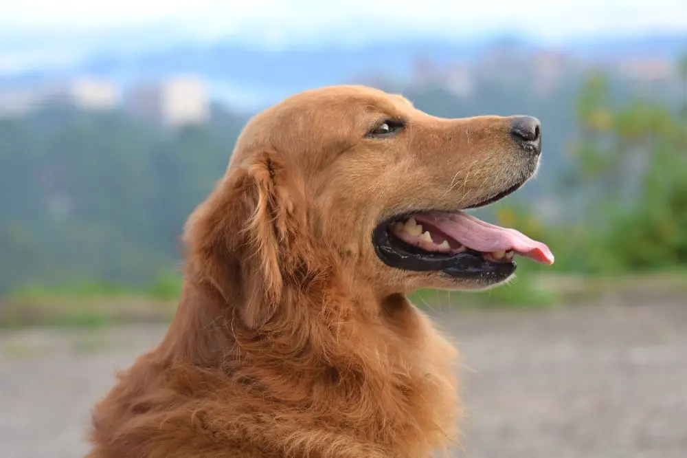 xr:d:DAGBV tDBZk:,j:,t: