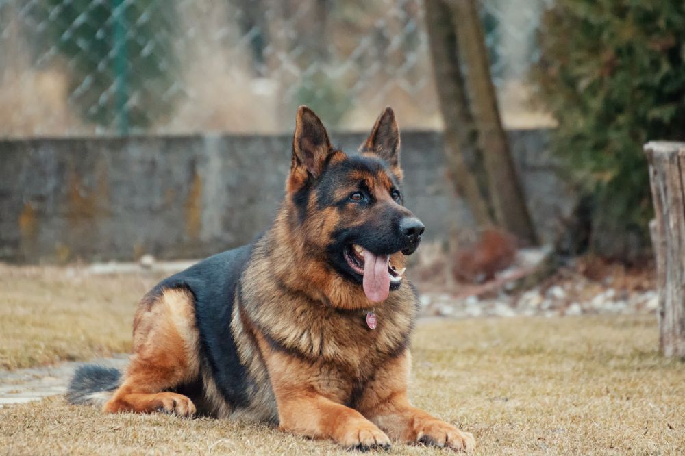 xr:d:DAFAediYGs:,j:,t: