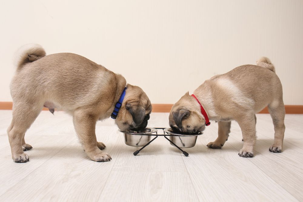 xr:d:DAFqftiuc:,j:,t: