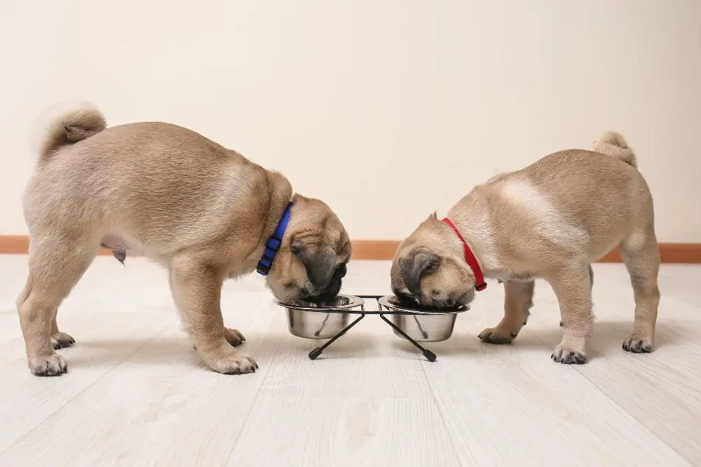 xr:d:DAFqftiuc:,j:,t: