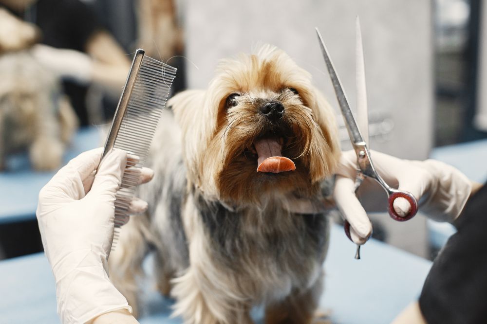 Baños regulares el primer paso hacia una piel sana