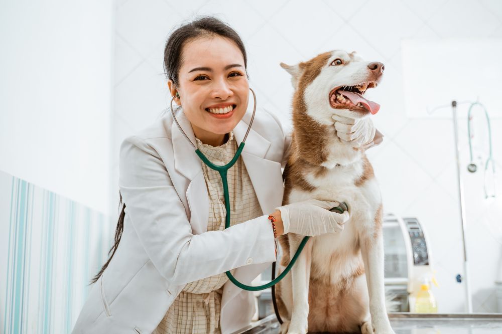 Beneficios de la dieta BARF