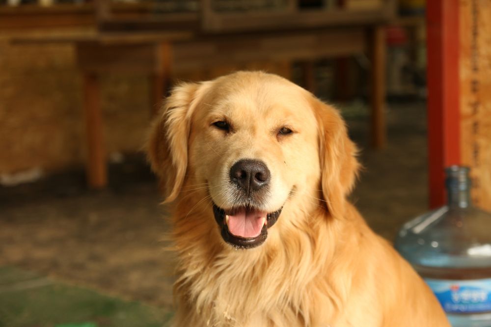 xr:d:DAGBV tDBZk:,j:,t: