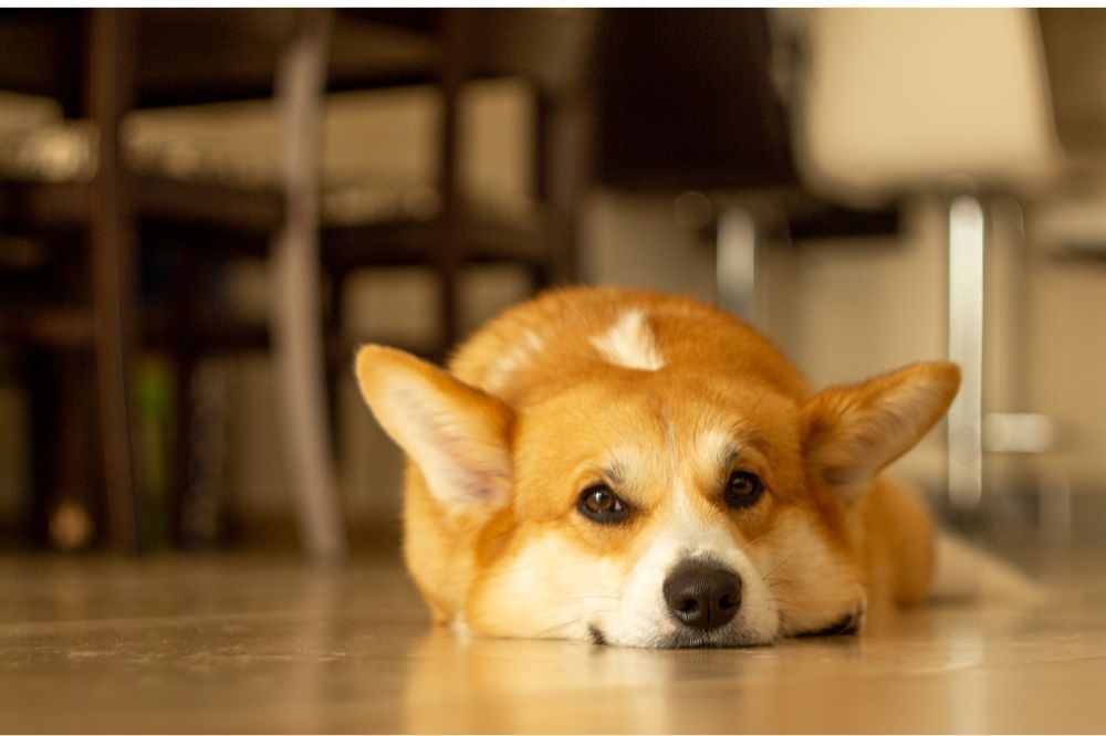 xr:d:DAGBV tDBZk:,j:,t: