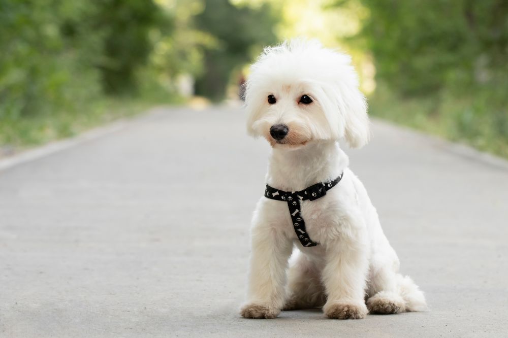 xr:d:DAGBV tDBZk:,j:,t: