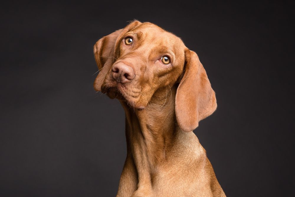 xr:d:DAGBbMToY:,j:,t: