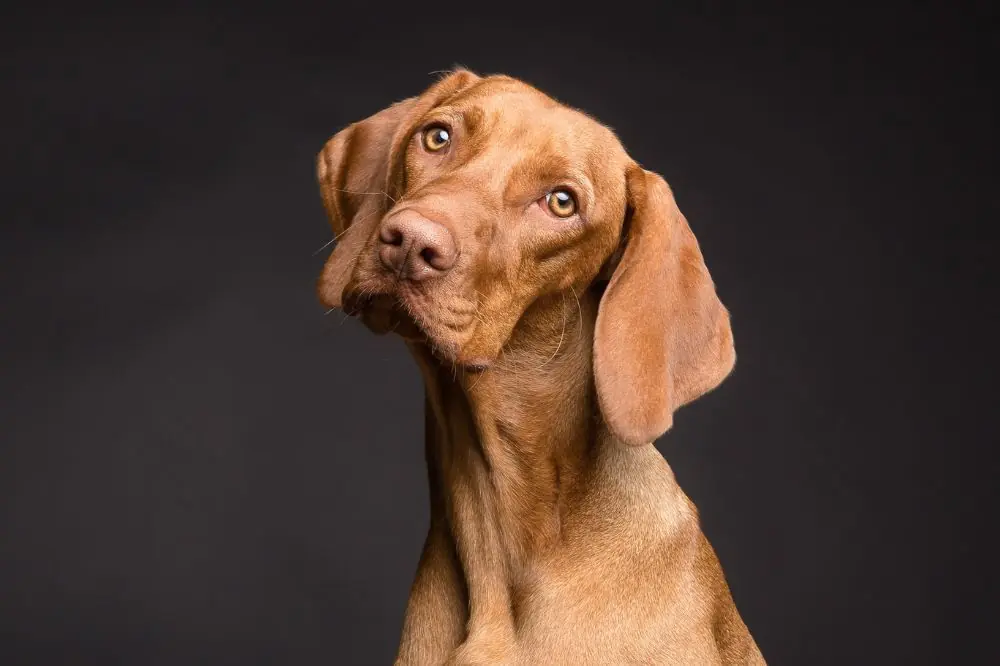 xr:d:DAGBbMToY:,j:,t: