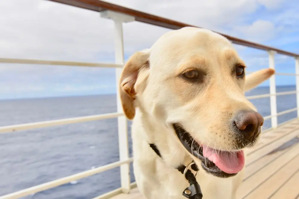 xr:d:DAFAEMuk:,j:,t: