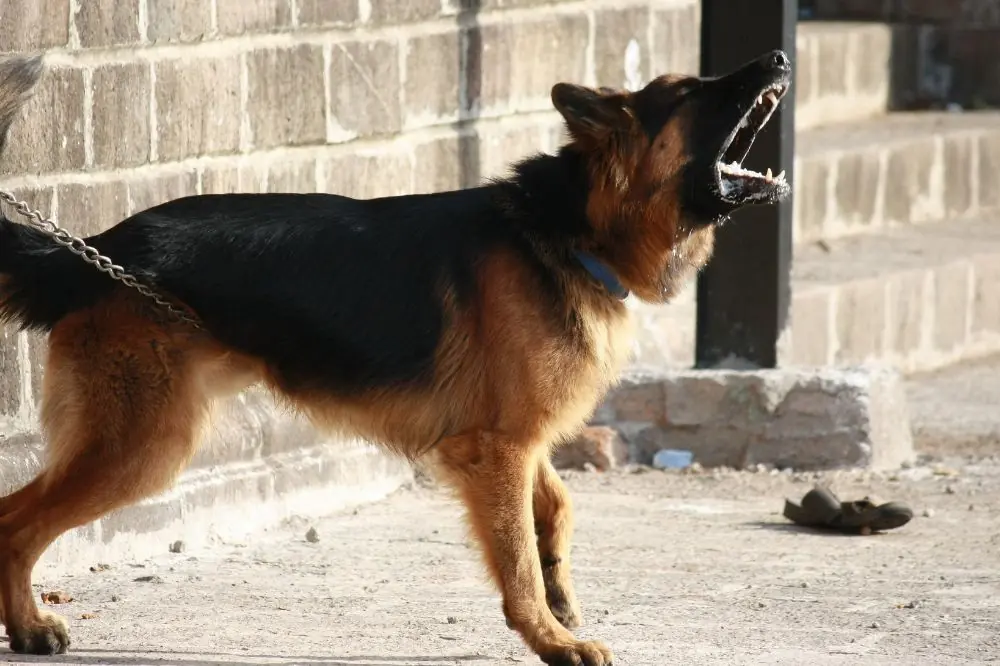 xr:d:DAGCd GCuKA:,j:,t: