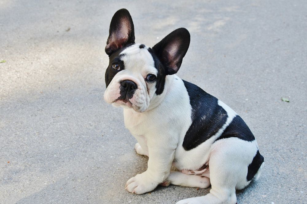 xr:d:DAGBV tDBZk:,j:,t: