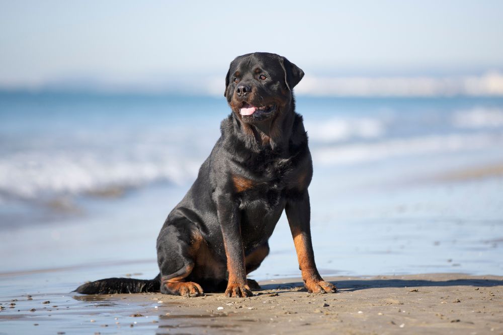 xr:d:DAFAEMuk:,j:,t: